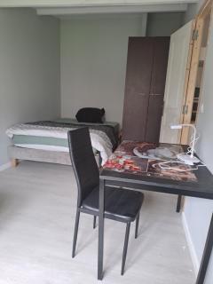 Élégant apartment - Tremblay-en-France - 7