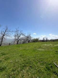 Camping Site Kerrnaje - Polisi i Vogël - 3