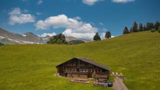 Le Chalet Lion Rouge - Rougemont - 0