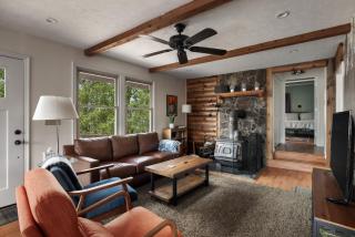 Secluded w Fireplace Private Pavilion & Fire Pit - Mathias - 8