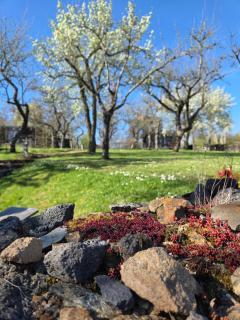 Les Volca'lodges de Tournebise - 9