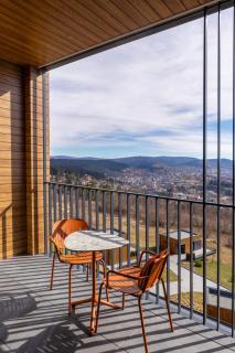 Panorama Skhidnytsya SPA Resort - Skhidnytsia - 9