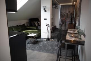 Apartman Elephant - Novi Sad - 9