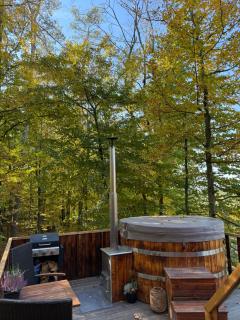 KarpatyGlamp - - 4