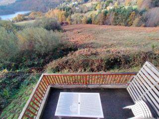 Gîte de Dom - La Salvetat - 4