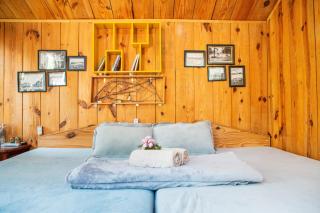Rustic retreat Nature Chalet - September Garden Homestay - 1