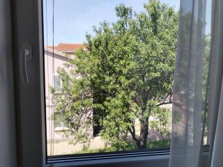Family apartment B&B - Biograd na Moru - 3