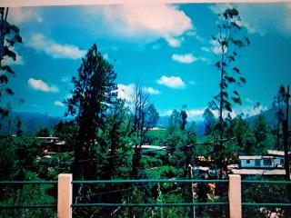 Mano illam - Kotagala - 3