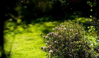 Charming 18th Century property - - 7