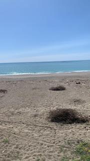 La Vela Deluxe - Giardini Naxos - 0
