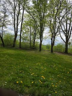 Elahs Nod - Niederdorla - 1