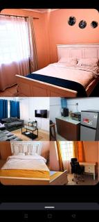 Minimalist - Eldoret - 0
