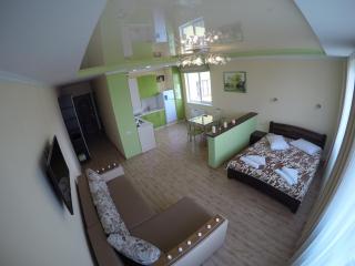 VIP Apartament in the center - Truskavec' - 0