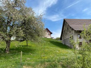 Ancient mill - monument of cultural heritage - - 5