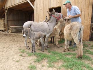 Tourist Farm Ob izviru Krupe - Semič - 2