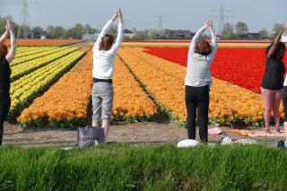 Tulip Lodges - Voorhout - 5
