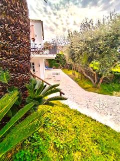 Villa Angelo - Ischia - 9