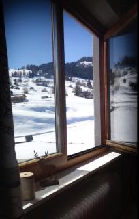 Alpakahof Serfaus - Serfaus - 4