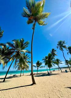 Casa Lulu - Punta Cana - 6