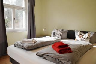 Forsthaus Wohnung 1 6 PAX Kamin & Waldluft - Thale - 4