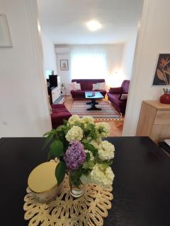 Fabulous Apartment "Central Sun" with Balcony and Park View - Knin - 7