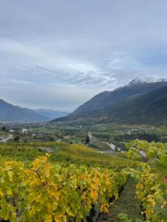 Casa D'Agostino - Aosta - 8