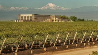 Winemakers' House - Lujan de Cuyo - 6