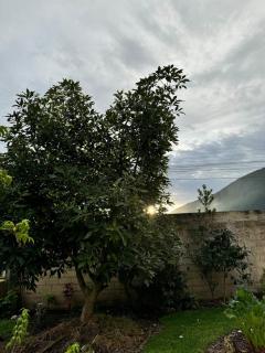Ocsha Wasi Centrally located house with garden and grill - Oxapampa - 4