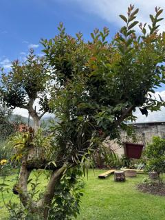 Ocsha Wasi Centrally located house with garden and grill - Oxapampa - 1