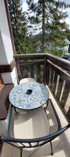 Vila Zvončica, apartman Puzović 21 - Kopaonik - 9
