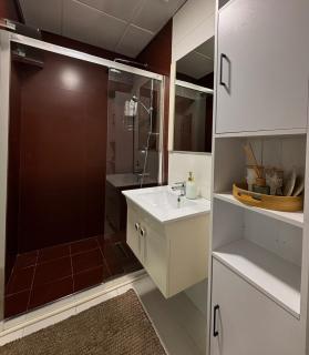 Buffalo Apartment - Pristina - 7