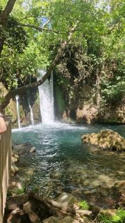 Huge Villa In Kibbutz Dafna - 3