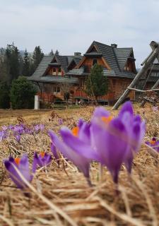 Domek Kojsówka - Witów - 8