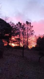 Luna en Acuario Hospedaje - 6