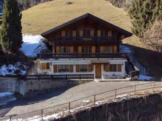 Chalet Les Patineurs - Champéry - 0