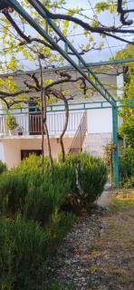 Etno House Mira - Virpazar - 3