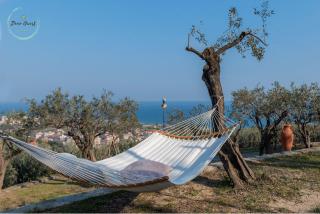 Anima Mediterranea - Albenga - 5
