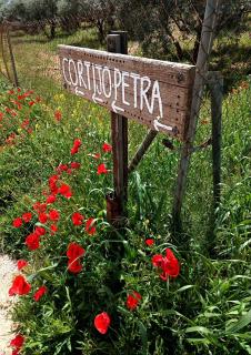 Cortijo Petra - Villanueva del Rosario - 1