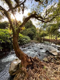Vale do Rio Bonito Glamping - Riozinho - 7