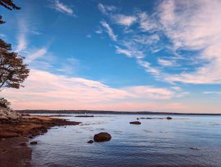 Lone Pine Oceanfront Cottage - Prospect Harbor - 7