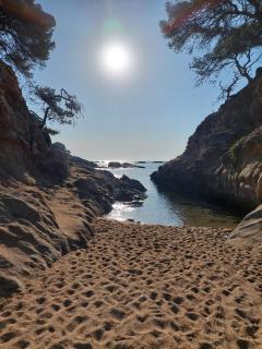 Bravaholidays-202, Centro, AA, Wifi - Blanes - 1