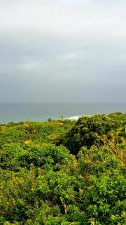 5 Equaleni Holiday House - Hibberdene - 7