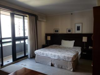 radisson blu cidade jardim - São Paulo - 9