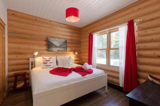 Relaxing Sauna and Hot Tub, Near Ski Slopes,Trails - 7
