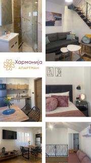 Apartman Harmonija - Bajina Bašta - 9