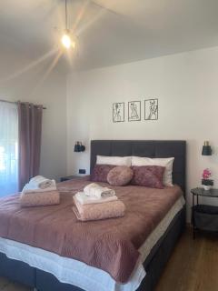 Apartman Harmonija - Bajina Bašta - 1