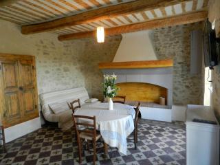 Véritable mas provençal avec 3 logements en pleine nature - Cavillargues - 8