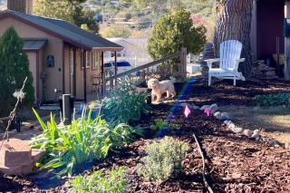 Sunshine House - Nestled In Page Springs - Cottonwood - 8