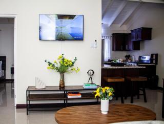 Luxe Oasis The Manor - Old Harbour - 8