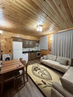 Ayder Defne Suit Ev - Çamlıhemşin - 7